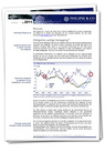 Nieuwsbrief Januari 2011 - Philipse & Co